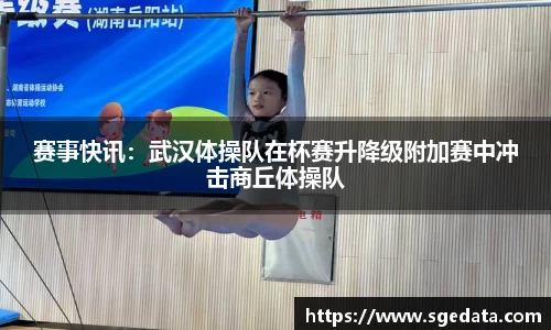 赛事快讯：武汉体操队在杯赛升降级附加赛中冲击商丘体操队