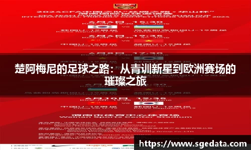 楚阿梅尼的足球之路：从青训新星到欧洲赛场的璀璨之旅
