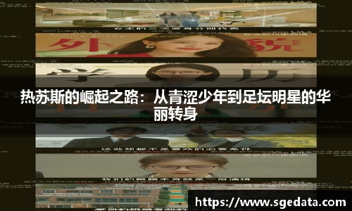 凤凰联盟官方网站