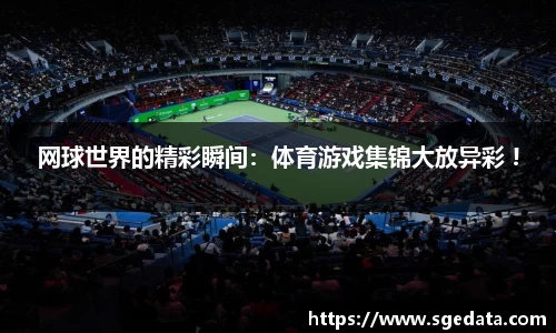 网球世界的精彩瞬间：体育游戏集锦大放异彩 !